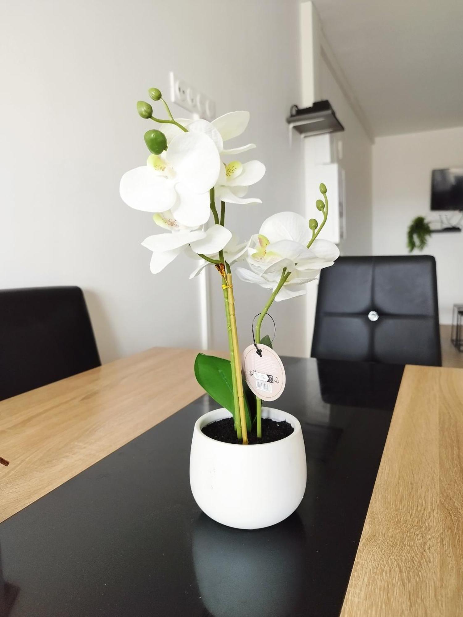 Parisian Cosy Flat With Balcony Διαμέρισμα Argenteuil Εξωτερικό φωτογραφία